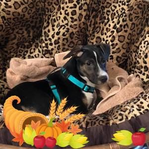 Meet your Posher, Tammy